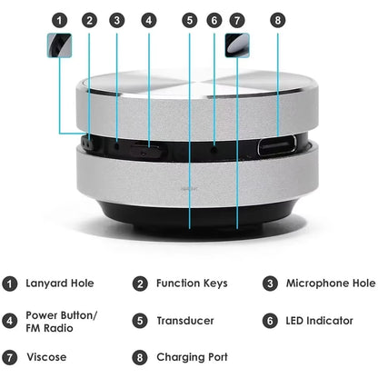 Mini Hummingbird Bone Conduction Speaker Bluetooth-Compatible TWS Wireless Stereo Dual Sound Audio Box Speakers with FM Radio